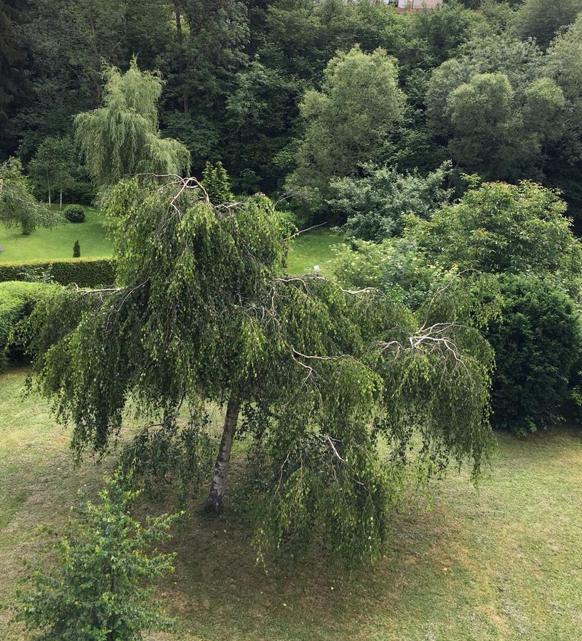 Auszeit Am Eifelsteig Hotell Daun Eksteriør bilde