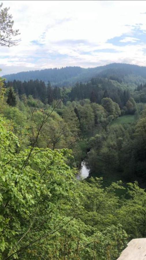 Auszeit Am Eifelsteig Hotell Daun Eksteriør bilde